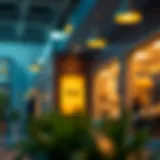 HSA Plans for Individuals: A Comprehensive Overview Introduction
