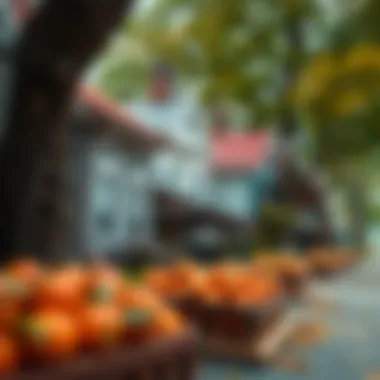 Impact of CRA on Community Development