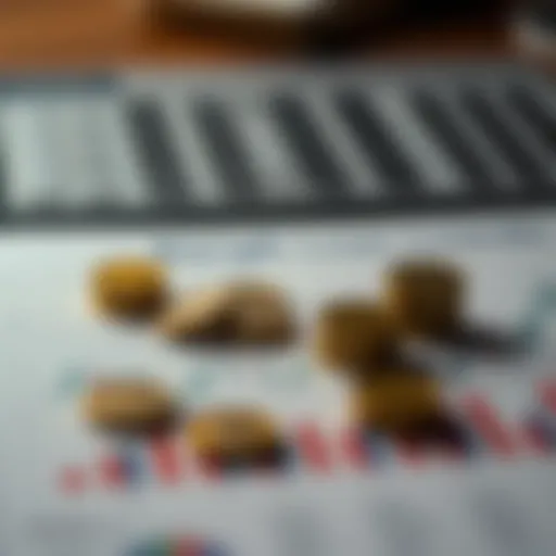 Diverse bank loan types on a graphic chart