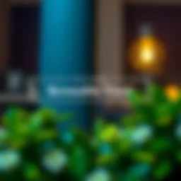 Conceptual diagram illustrating revocable trusts