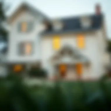 Conceptual illustration of self-directed IRA options