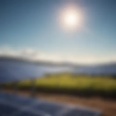 A bright sun shining over a solar farm with clear skies