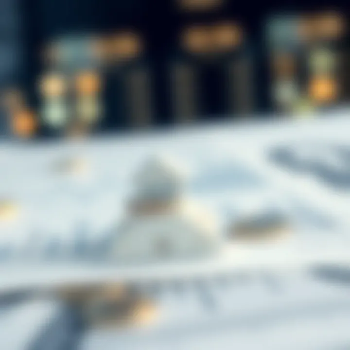 Illustration of the mechanisms behind universal life insurance